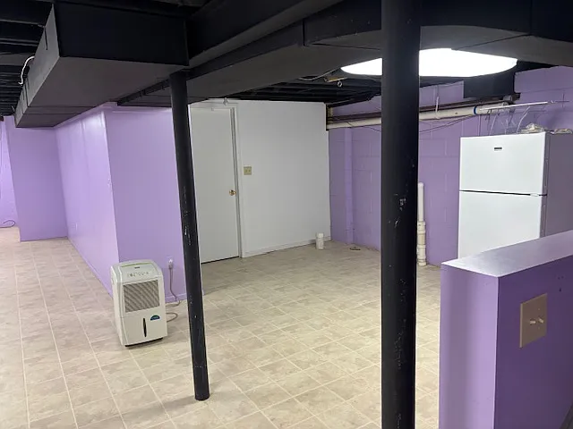 Basement Showing door to Utility Room