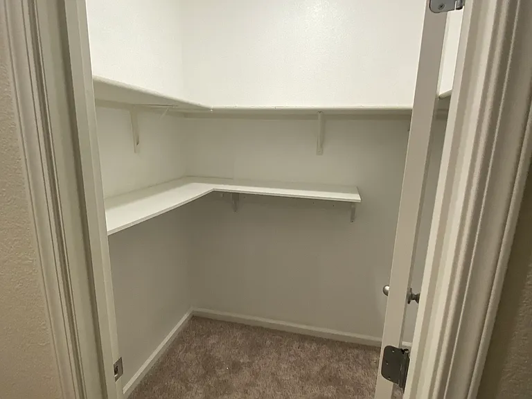 2995 Stable Dr — Photo 32