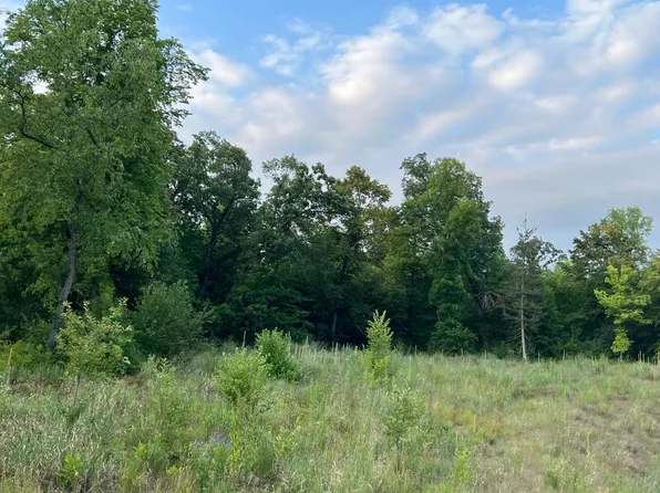 L10 B1 54th St SE, Clear Lake, MN 55319