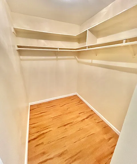 867 Shelsteve Ter — Photo 19