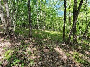 24 S Cross Creek Trl, Mill Spring, NC 28756