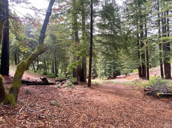 1980 Charoliase Drive, Navarro, CA 95463
