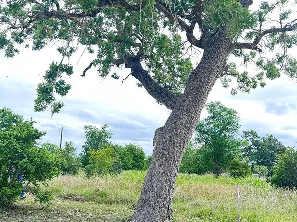 136 Wild Bird Loop, Smithville, TX 78957
