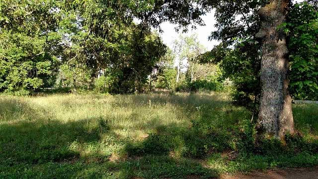 2nd image of 121 County Road 786