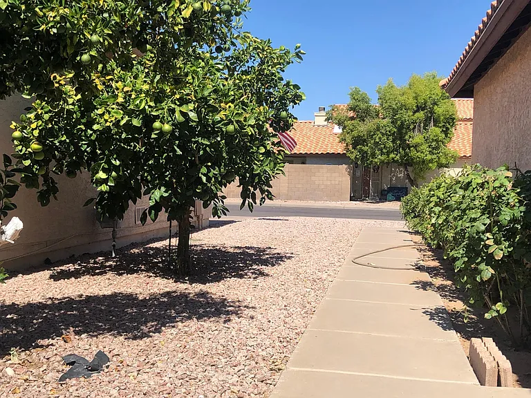 Side yard with rose-lined walk-way