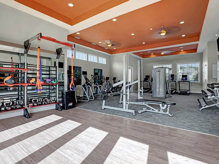 Gym & Fitness Center