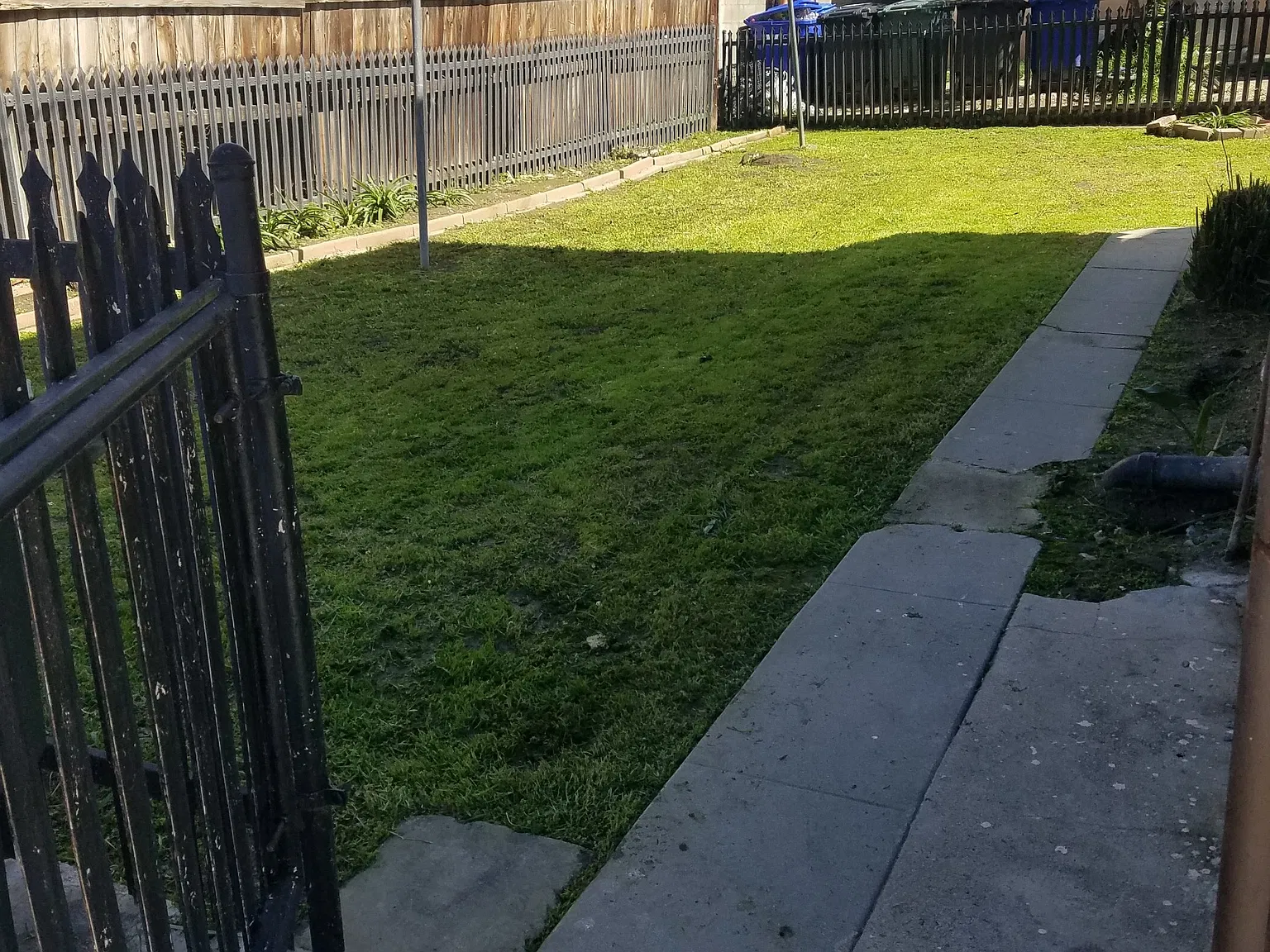 1 bed, $1,800 — Photo 3
