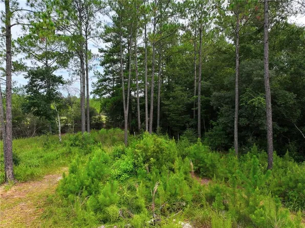 0 Foxtrap Rd Lot 7, Saraland, AL 36571