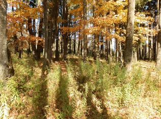 Gorton Lake Rd, West edmeston, NY 13485