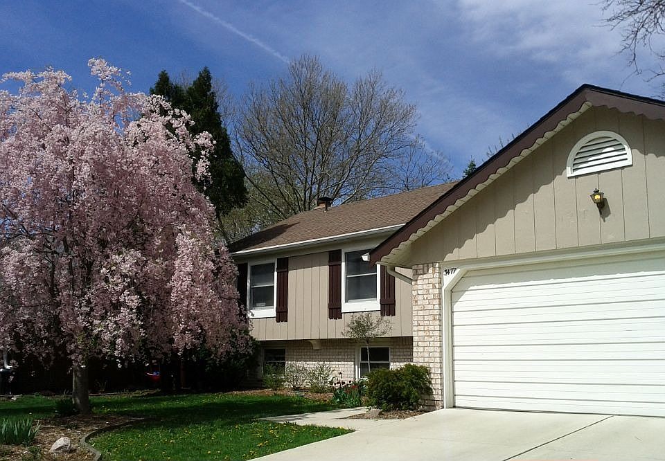 Front of home with weeping cherry in bloom