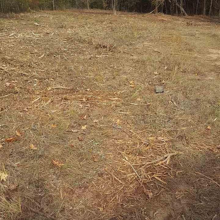 2nd image of 7210 Chestnut Rd