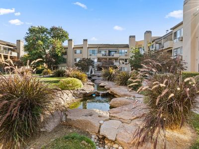 39152 Guardino Dr APT 203, Fremont, CA, 94538
