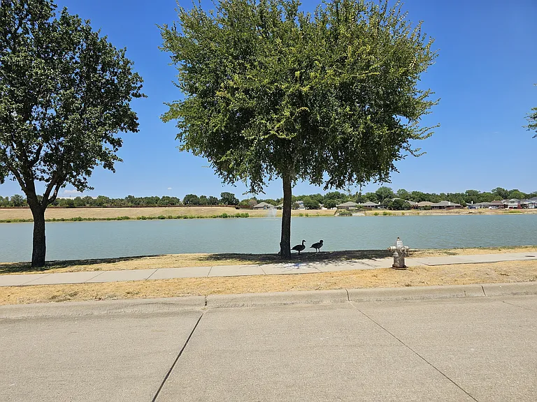 3049 Trinity Lakes Dr — Photo 58