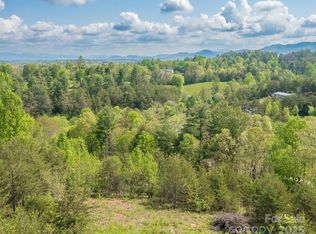 7 Spicebush Ln, Weaverville, NC 28787
