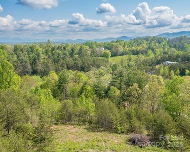 7 Spicebush Ln, Weaverville, NC, 28787