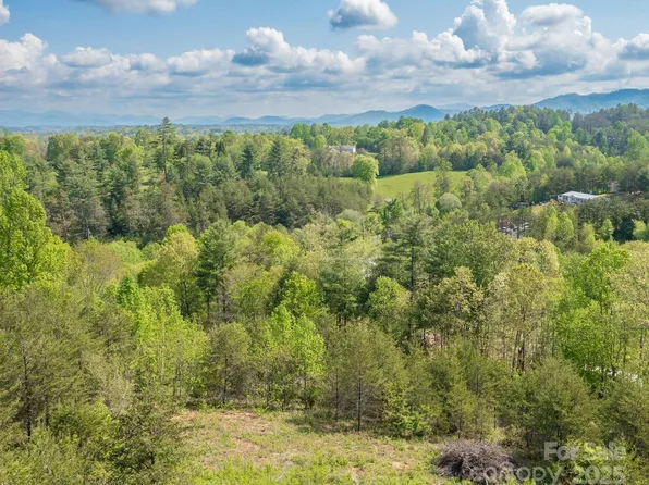 7 Spicebush Ln, Weaverville, NC 28787