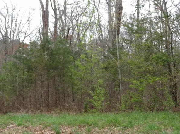 Dosha Ct, Crossville, TN 38555