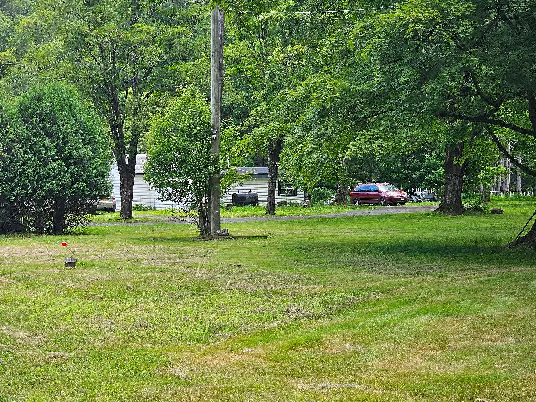 2 bed, 950 sqft, $1,500 — Photo 4