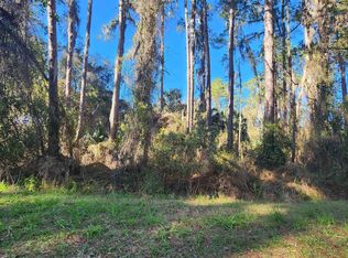 124 July Ave, Georgetown, FL 32139