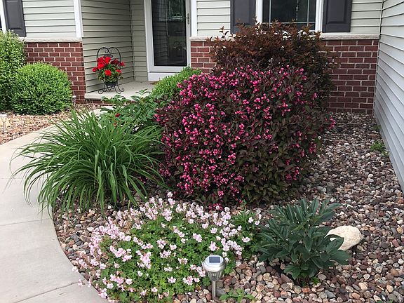 5th image of 1092 Peonies Dr