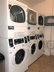 Rented by Bold New York