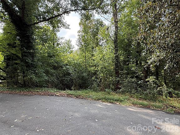 4th image of 0 Mountainside Ct