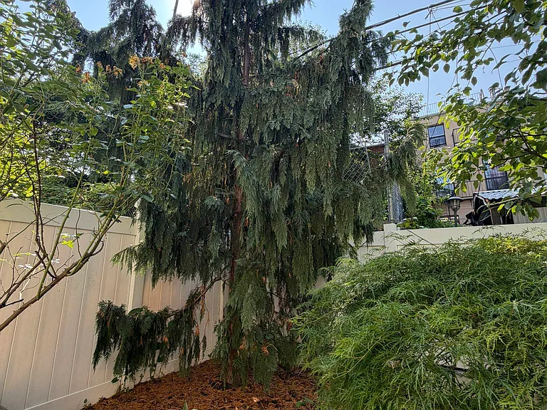 15 Covert St #GARDEN — Photo 18