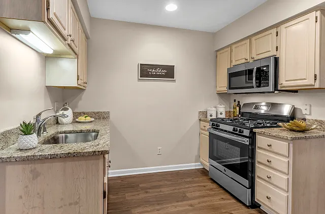 Modern Kitchen