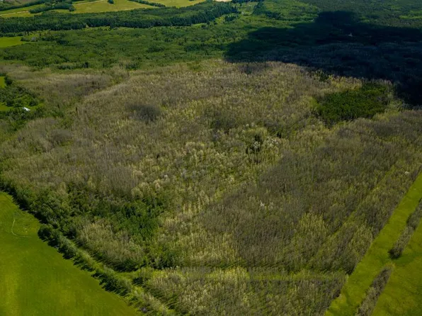 Range Road 231, Sturgeon County, AB T0A 1N5