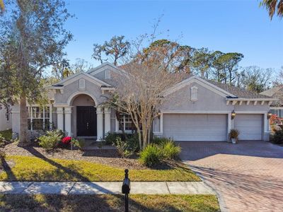 26722 Winged Elm Dr, Zephyrhills, FL, 33544