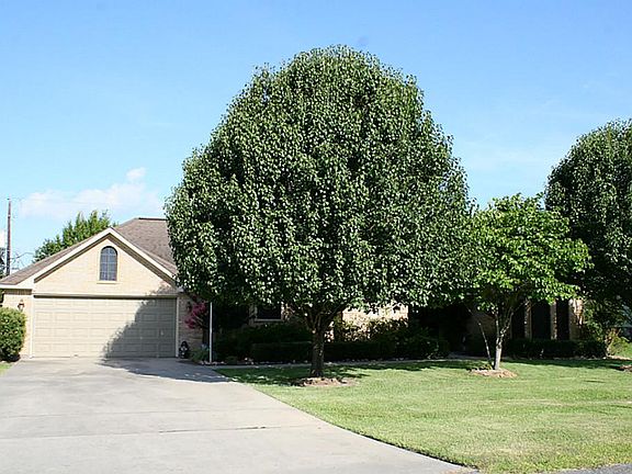 Lots of shade here with these trees