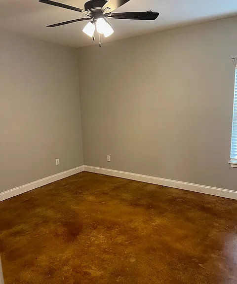 205 Rustling Pine Dr — Photo 9