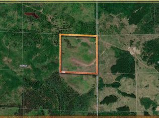 Virginia Ely Rd, Babbitt, MN 55706