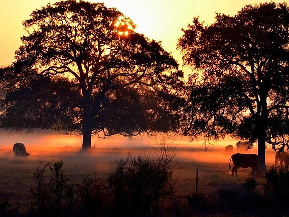view accross the street