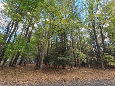 61 Wyoming Dr, Heathsville, VA, 22473