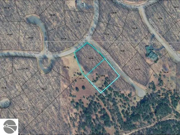 & 150 Olympia Flds Unit 149, Bellaire, MI 49615