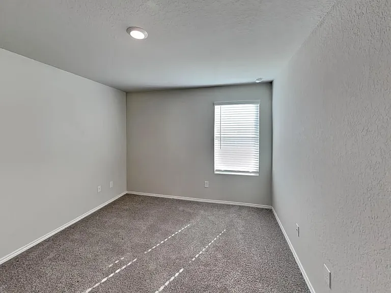 4602 Calaveras Crk — Photo 5