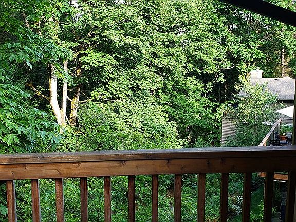 View from back deck