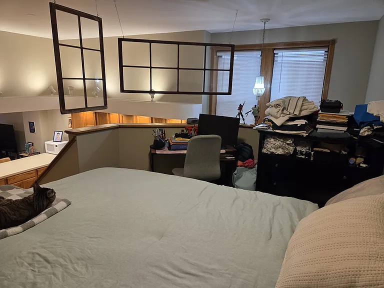 847 N Hoyne Ave #1F — Photo 11
