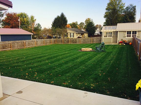 Back yard
