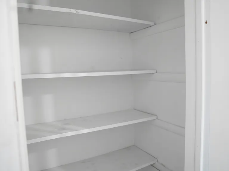 BATHROOM CLOSET / LINEN CLOSET