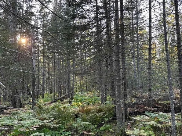 Xxx3 Ski Hill Rd, Lutsen, MN 55612