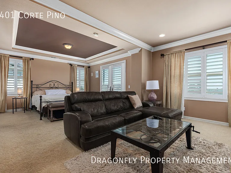3401 Corte Pino — Photo 19