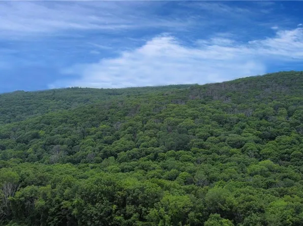 CASCADE MOUNTAIN Road, Amenia, NY 12501