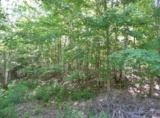 Lakeview Rd, Bear Lake, MI 49614