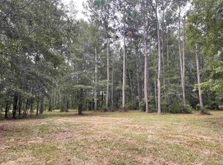 215 Nesmith Corner Rd, Nesmith, SC 29580