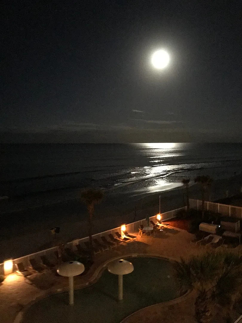 Ocean Front Studio! Amazing And Must See! Deposit-Free Renting Option Thru Obligo! Deposit Altern... — Photo 3