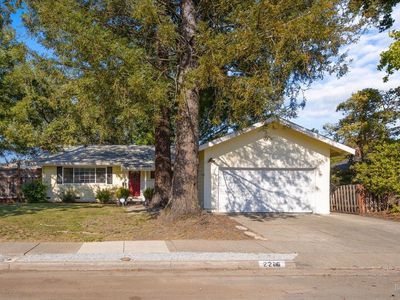2216 Fremont Drive, Santa Rosa, CA, 95409