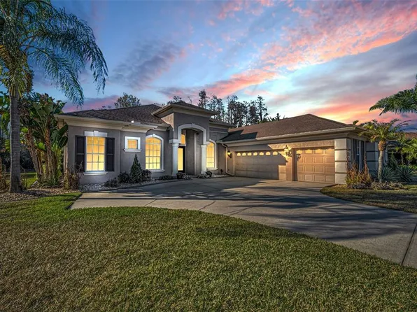 3305 Sheehan Dr, Land O Lakes, FL 34638