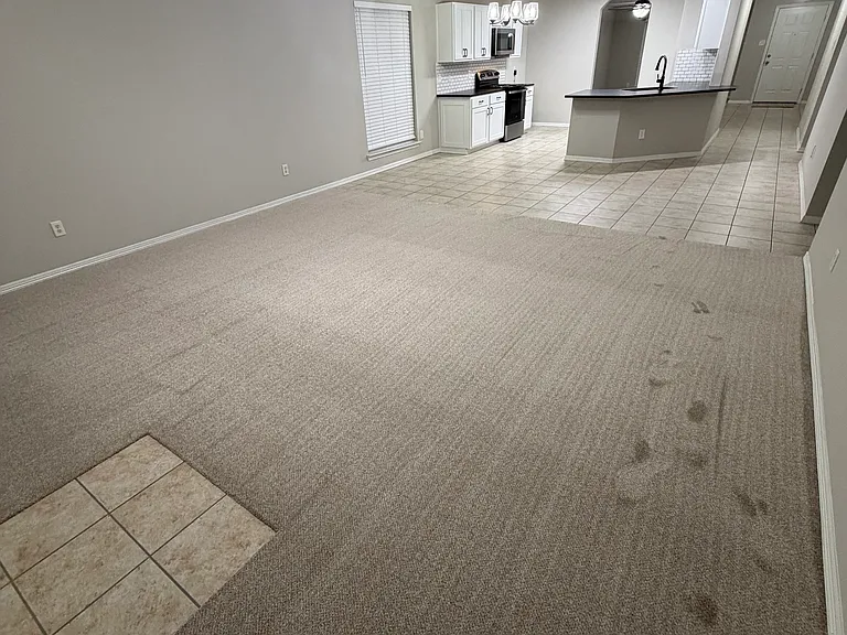 352 Murphy Rd — Photo 5